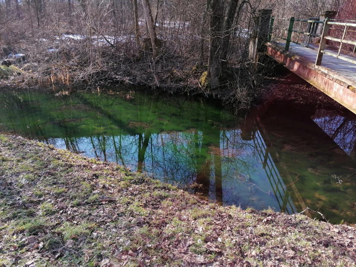 Ferienwohnung Resi Mit Traumhaftem Seepanorama Steindorf am Ossiacher See Buitenkant foto