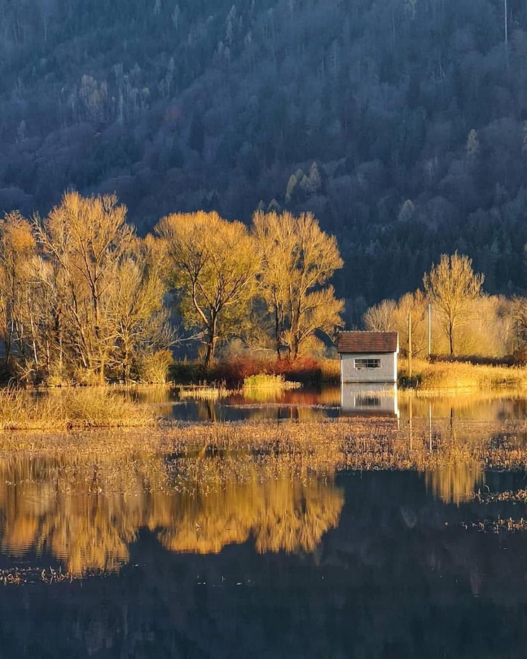 Ferienwohnung Resi Mit Traumhaftem Seepanorama Steindorf am Ossiacher See Buitenkant foto