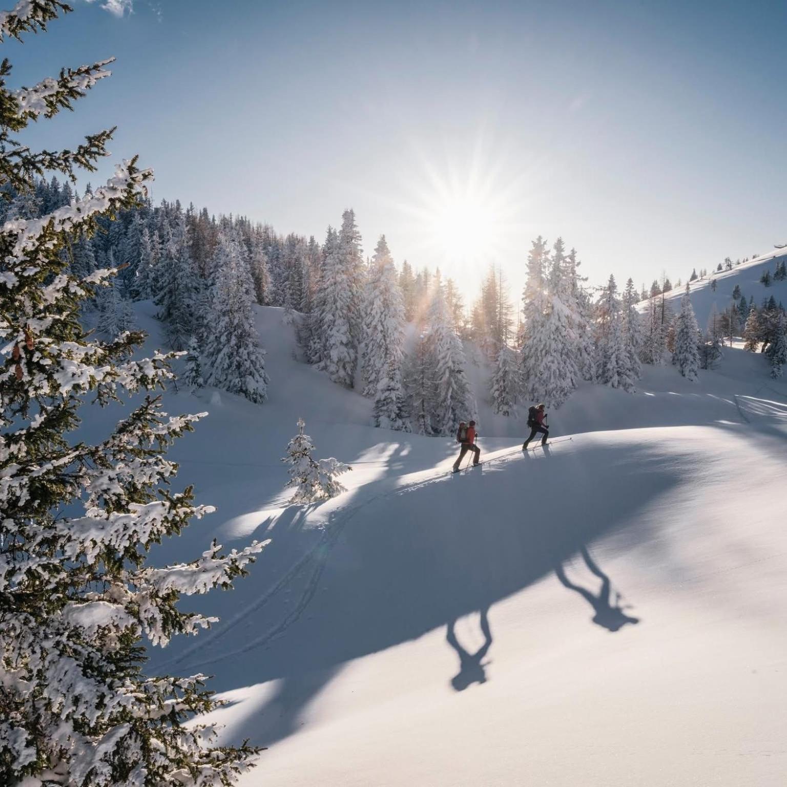 Ferienwohnung Resi Mit Traumhaftem Seepanorama Steindorf am Ossiacher See Buitenkant foto