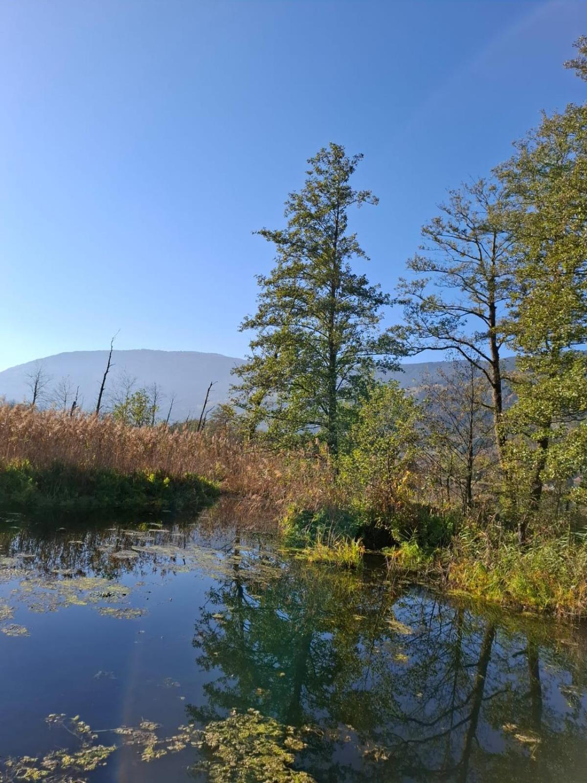 Ferienwohnung Resi Mit Traumhaftem Seepanorama Steindorf am Ossiacher See Buitenkant foto