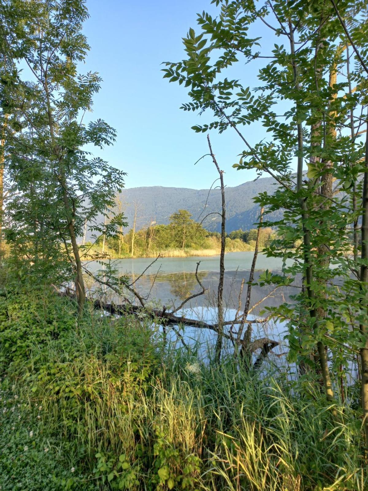 Ferienwohnung Resi Mit Traumhaftem Seepanorama Steindorf am Ossiacher See Buitenkant foto