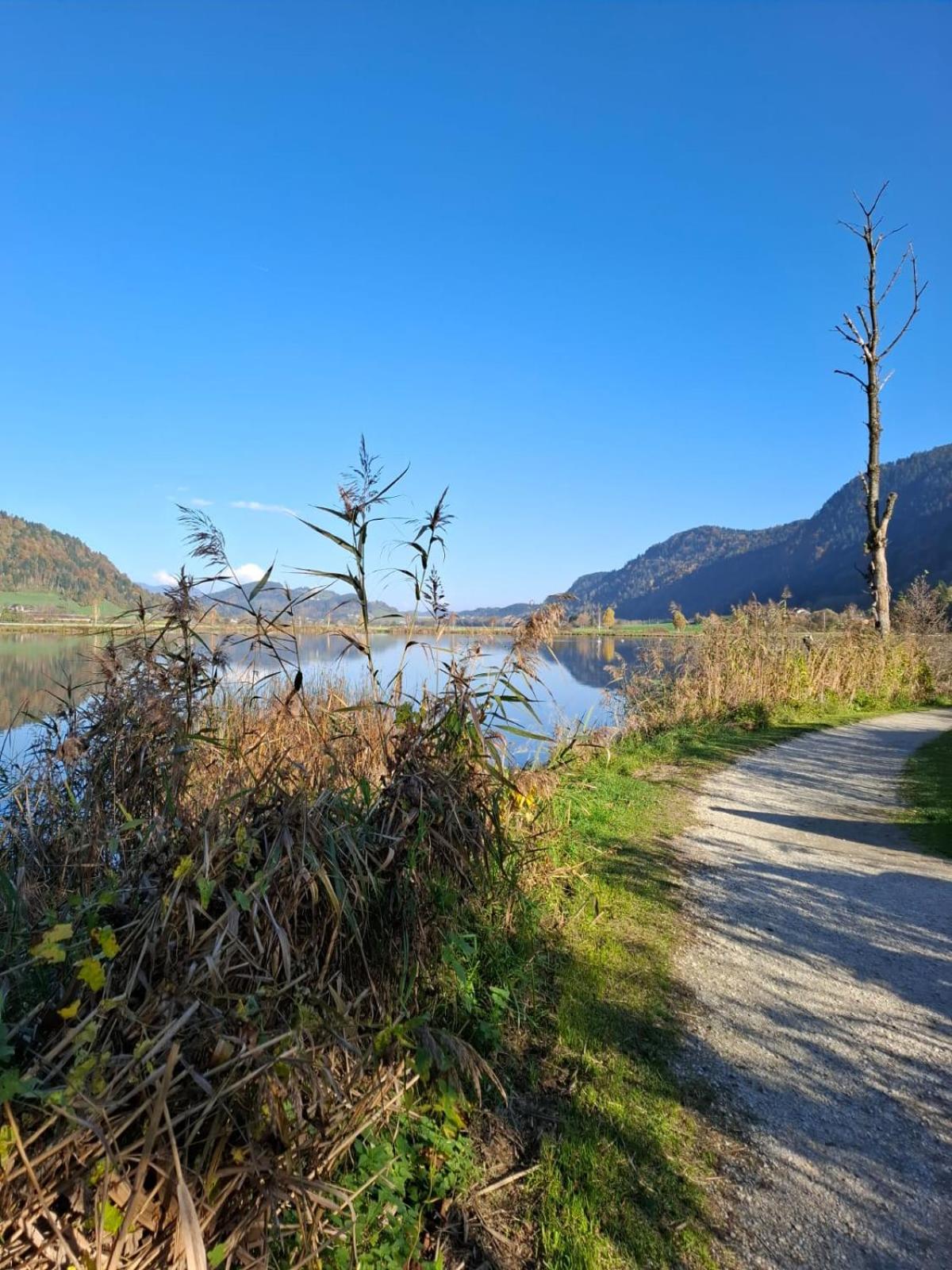 Ferienwohnung Resi Mit Traumhaftem Seepanorama Steindorf am Ossiacher See Buitenkant foto