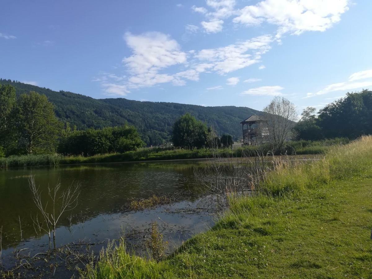 Ferienwohnung Resi Mit Traumhaftem Seepanorama Steindorf am Ossiacher See Buitenkant foto