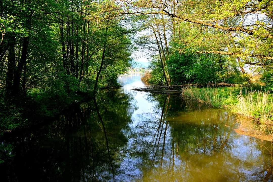 Ferienwohnung Resi Mit Traumhaftem Seepanorama Steindorf am Ossiacher See Buitenkant foto
